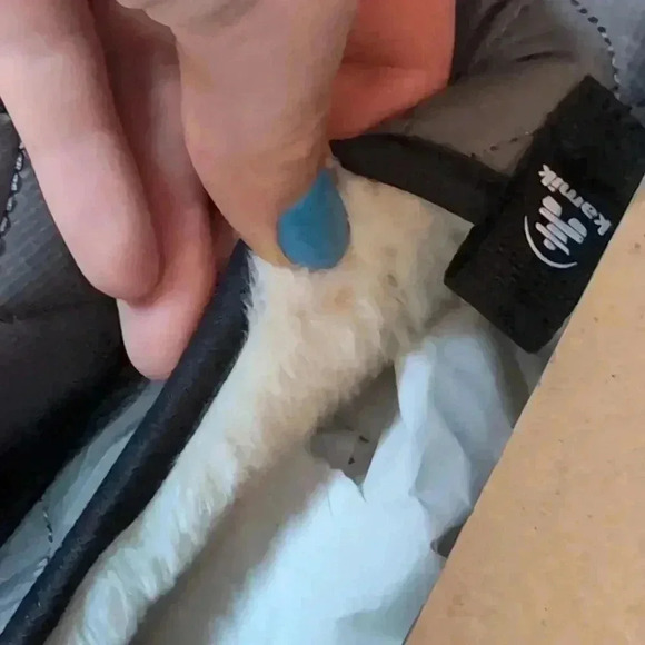 KAMIK MEN'S SLIPPERS PUFFY - Picture 7 of 9